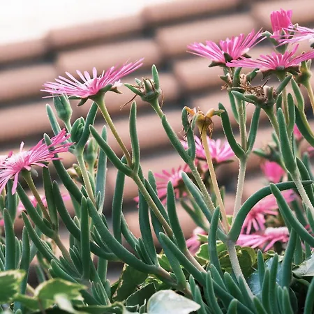 Appartement Comecasa Flowery Terraced Milan