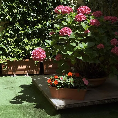 Comecasa Flowery Terraced Appartement *